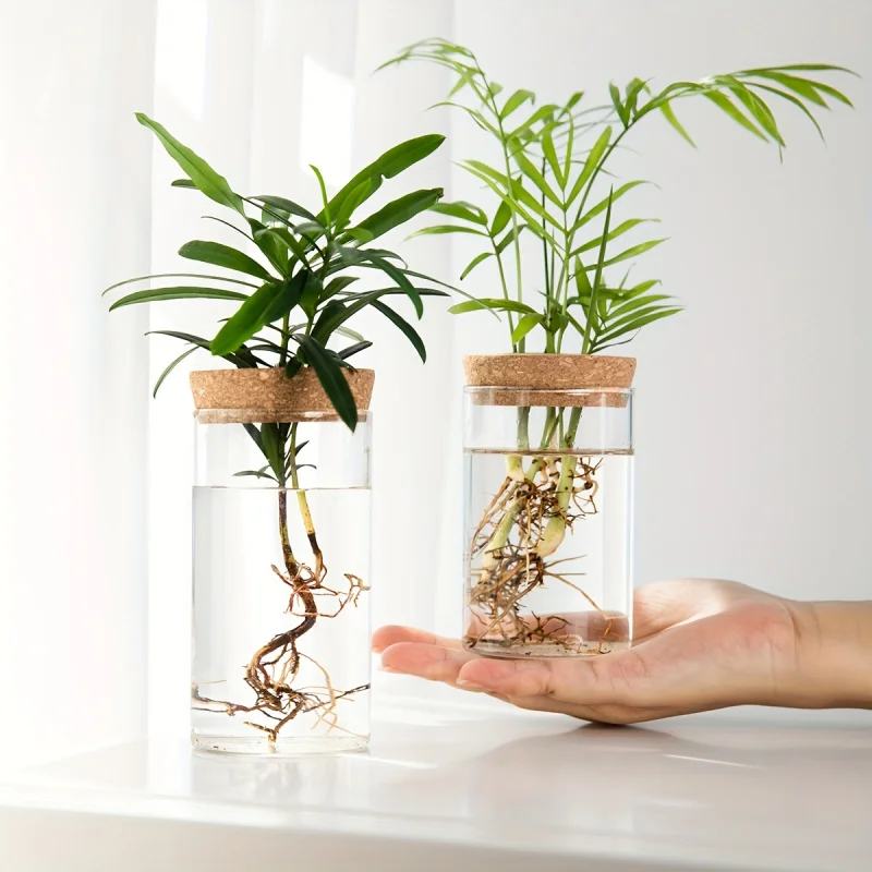 1 unidad, florero de cristal de escritorio para plantas hidropónicas para decoración del hogar, florero de brotes de estación de propagación de plantas, hidroponía de escritorio