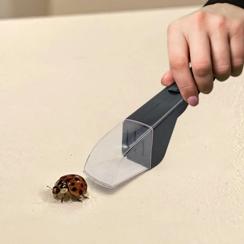 Atrapasueños de mano para una captura eficiente de arañas, abejas y insectos en casa