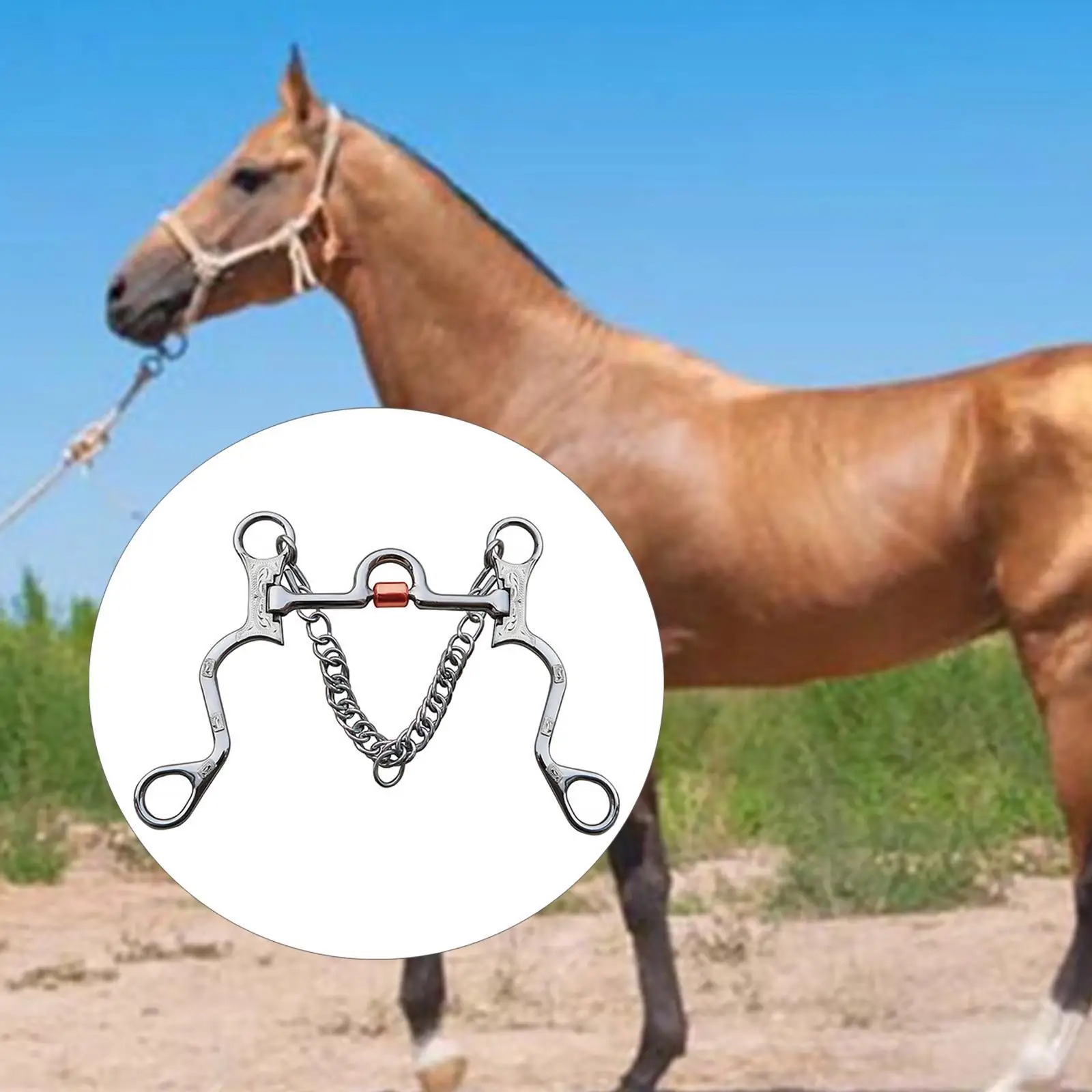 Punta per cavallo in acciaio inossidabile Bocca in rame per allenamento per cavalli Lunghezza bocca Argento Lunghezza bocca 130 mm
