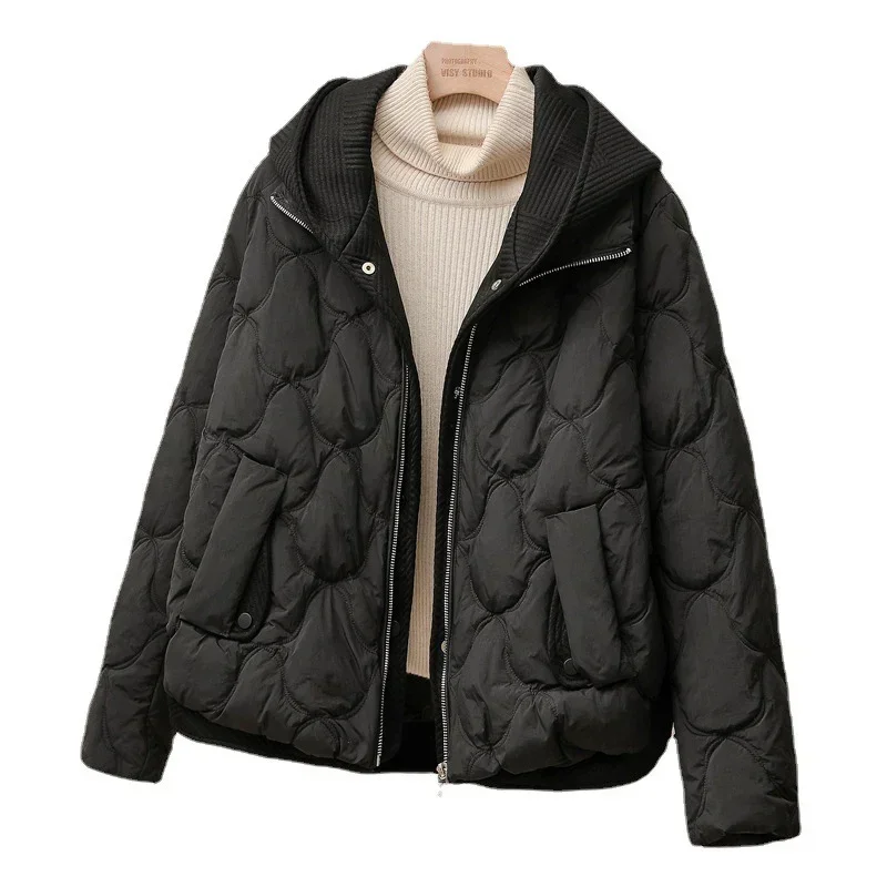 Women's White Duck Down Hooded Jacket, Warm Vacation Jacket, Casual, Korean, Autumn, Winter, New