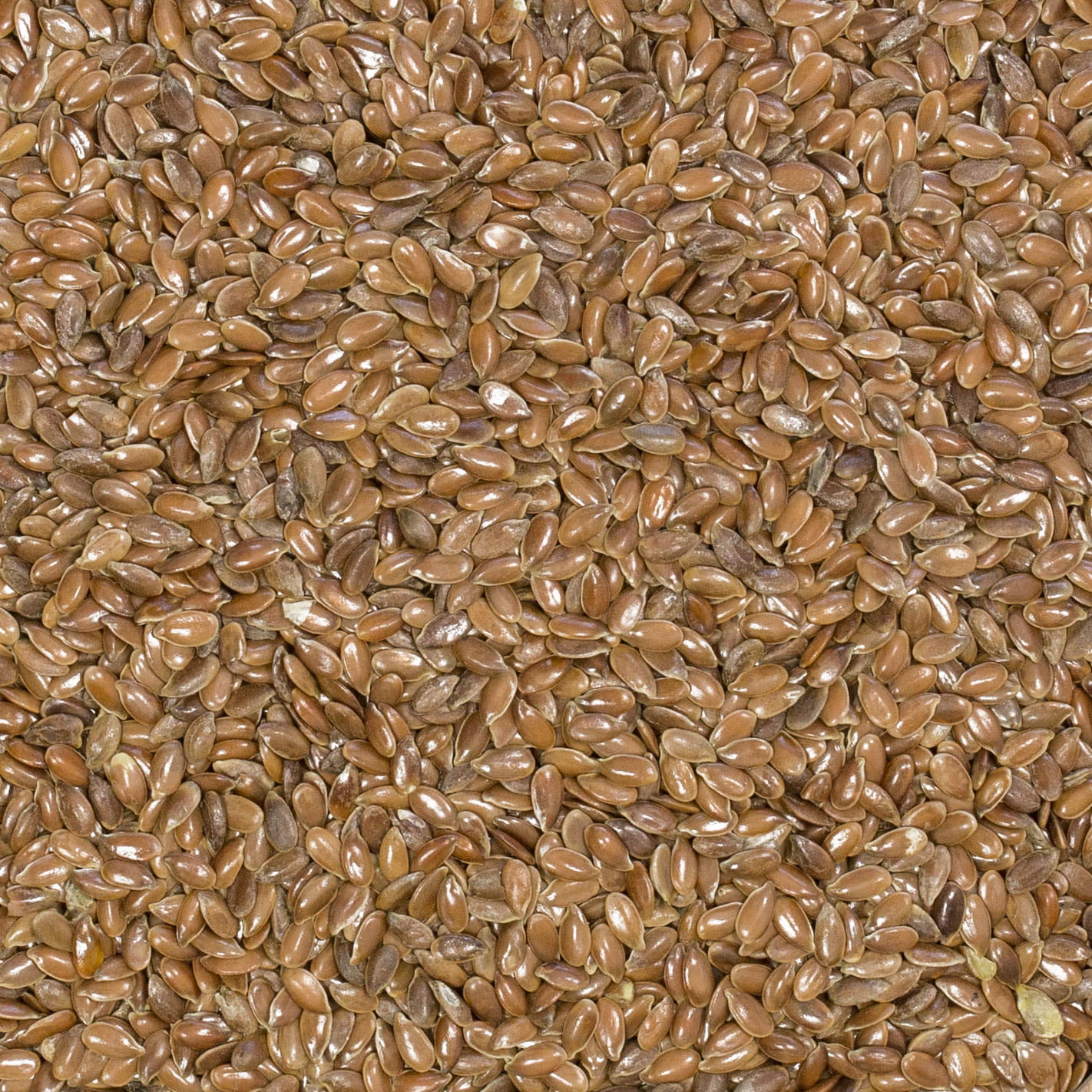 Siemię lniane zestaw 2 x 1kg