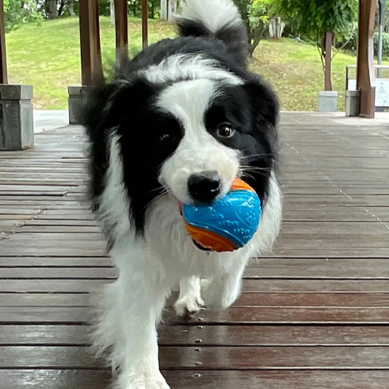 犬のきしむボールのおもちゃ犬ソフト TPR 咀嚼おもちゃ犬ペットの歯のクリーニング咬合抵抗子犬トレーニング音のおもちゃペット用品