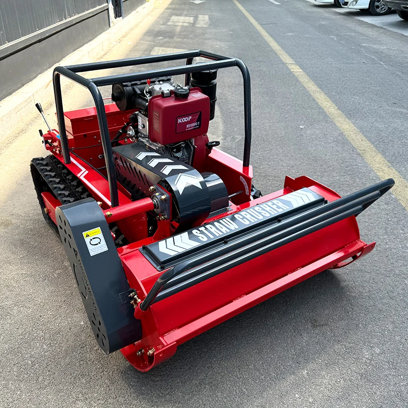 Maßgeschneiderter, der kostengünstigste Rasenmäher auf dem chinesischen Markt, All-Terrain-Rasenmäher