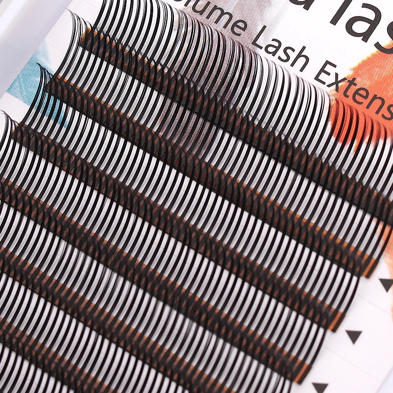 MARIA 5D Flora Lashes Easy Fan Eyelash Extensions Wholesales  Premade Volume 12 Rows W Style Natural Soft Private Logo