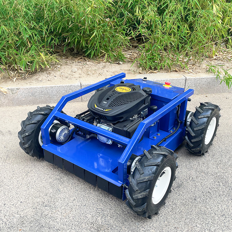 Maßgeschneiderter Mini-Räder-Rasenmäher mit hoher Effizienz und starker Motivation