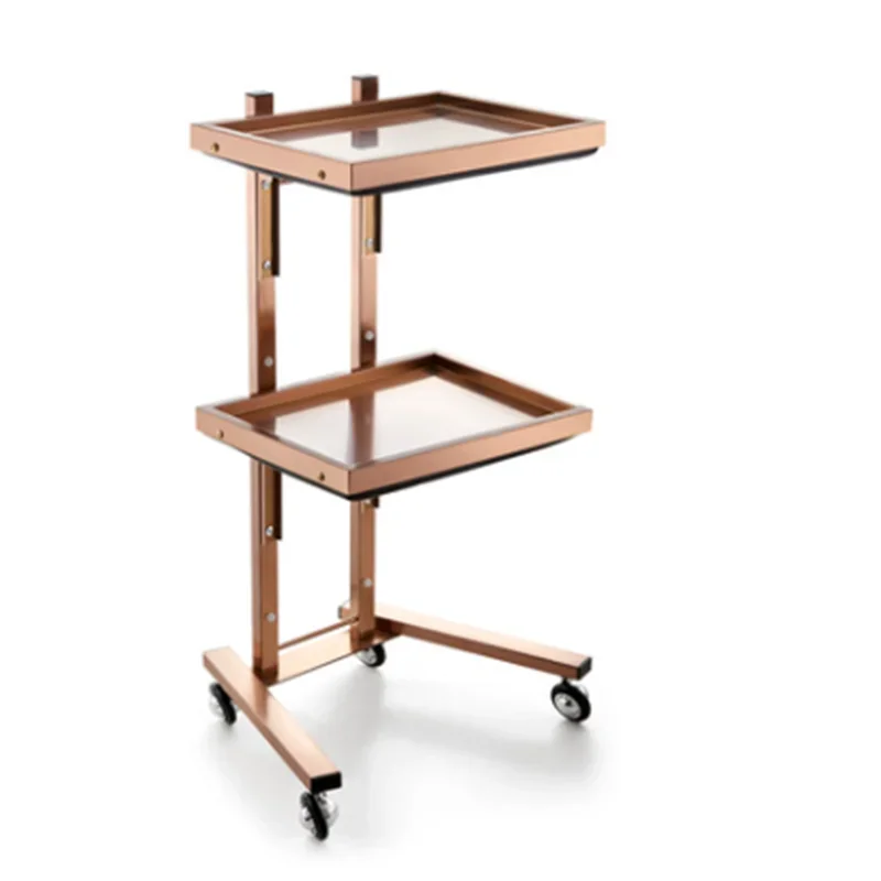 Multi-Purpose รถเข็นเครื่องมือ Beauty Salon เครื่องมือ Rolling Cart ที่ถอดออกได้ตัดผมค่าเฉลี่ย Carrito Auxiliar Hair Salon เฟอร์นิเจอร์
