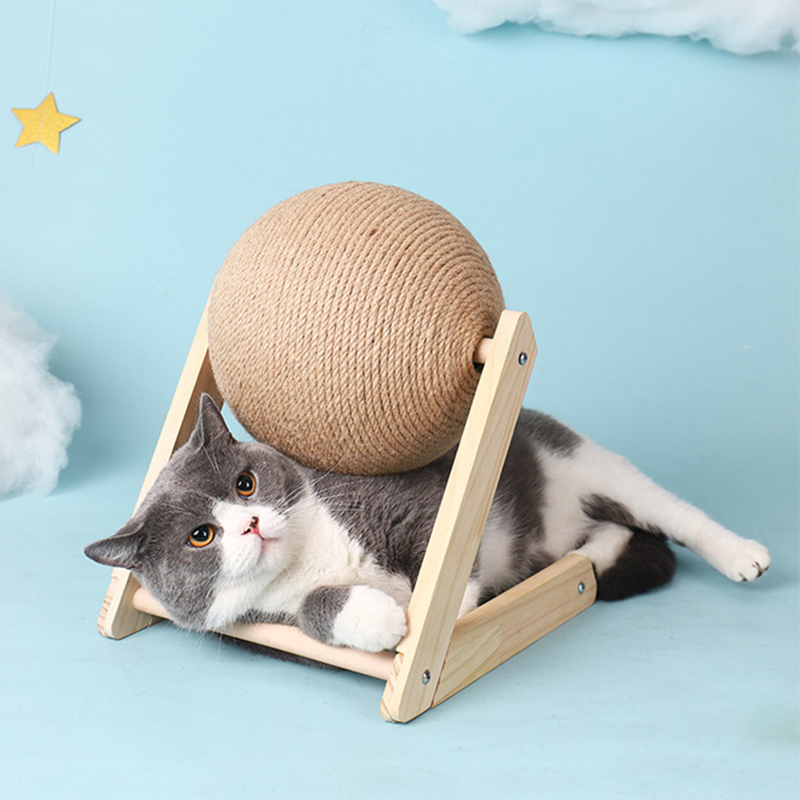 Liquidazione_Cat Supplies_Aggiornamenti continui