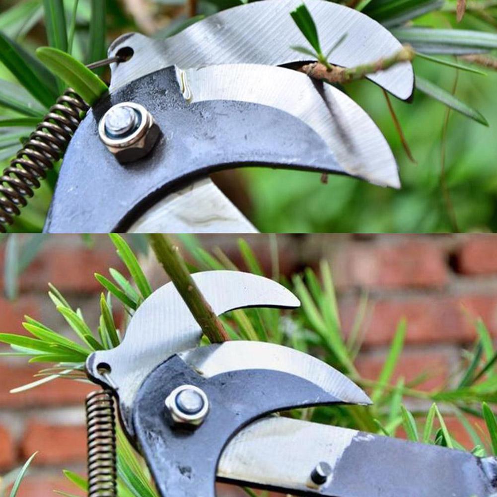 High-branch Telescopic Scissors Fruit Picker Gardening Special Labor-saving Tools To Cut Branches, Pick Fruits And Trim Shoots