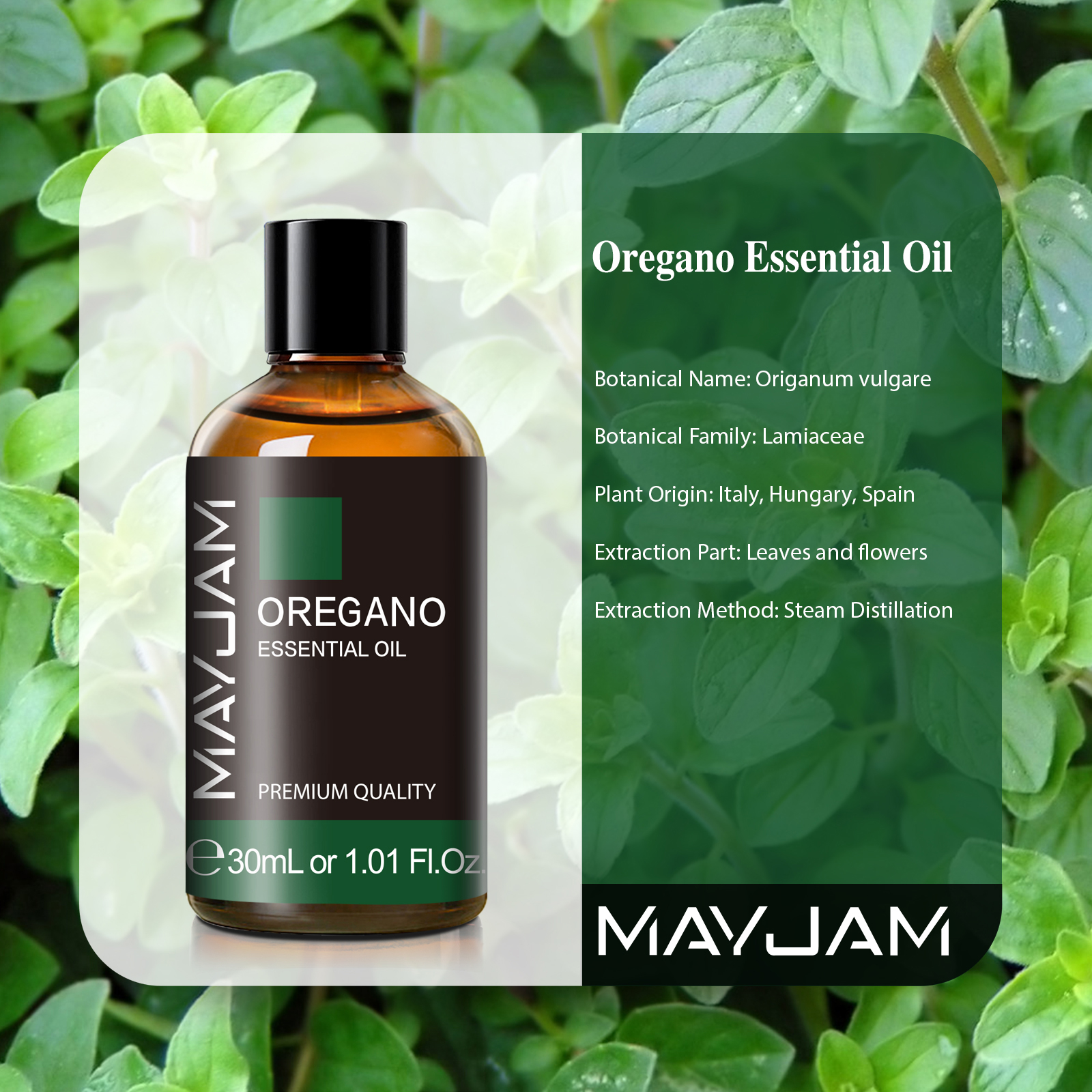 Mayjam 30ml com óleos essenciais conta-gotas oragan limão eucalipto hortelã verde neroli helichrysum cúrcuma anis estrela árvore de chá