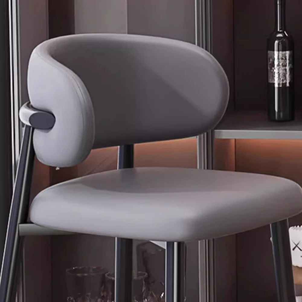 Chaises Nordiques Ergonomiques et Simples, Design de Qualité, Chaises de ixde Luxe, Mode Délicate, Meubles de Salon