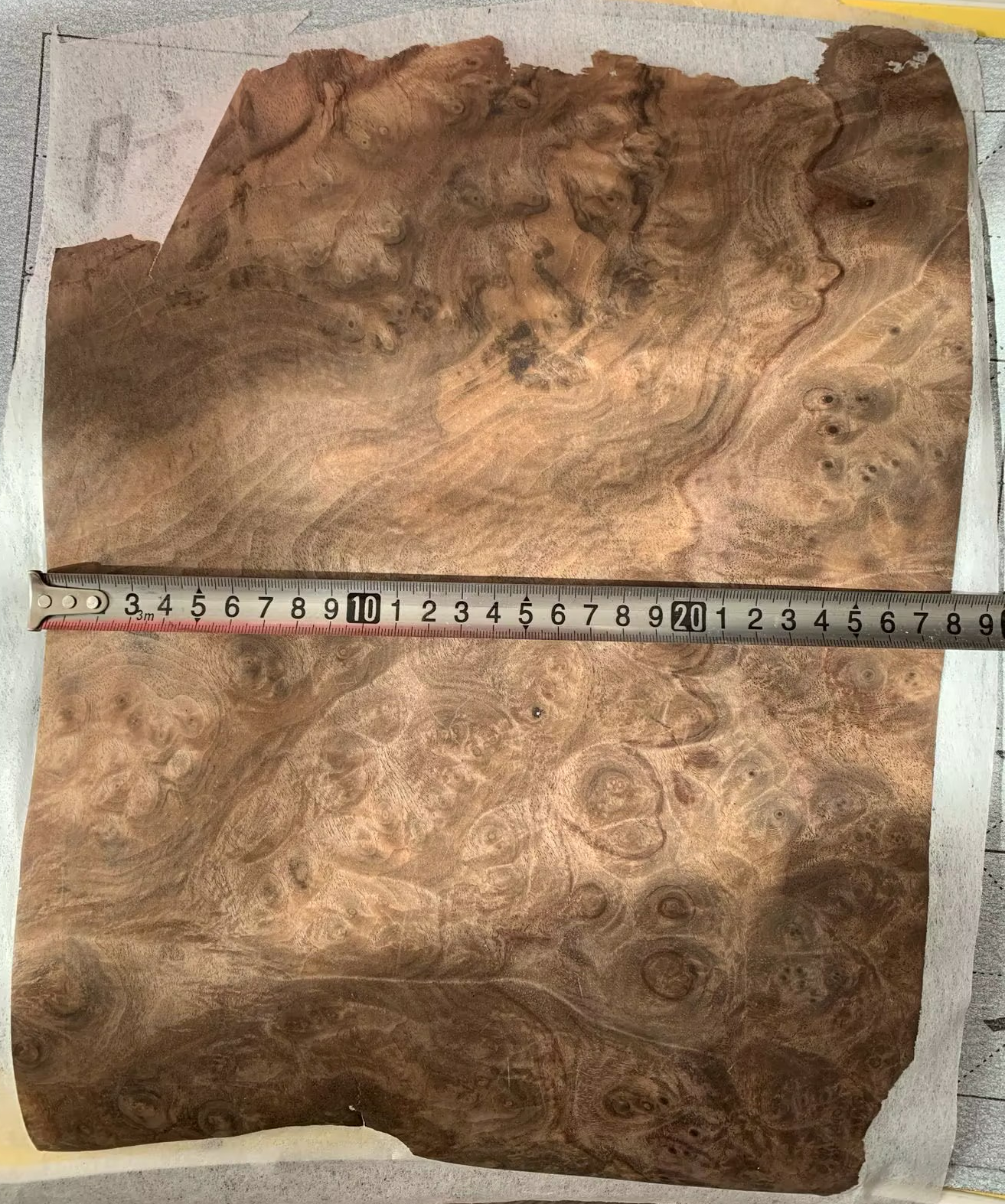 Natural Black Walnut Burl Wood Veneer for Furniture and Instruments - about 0.2mm Thick