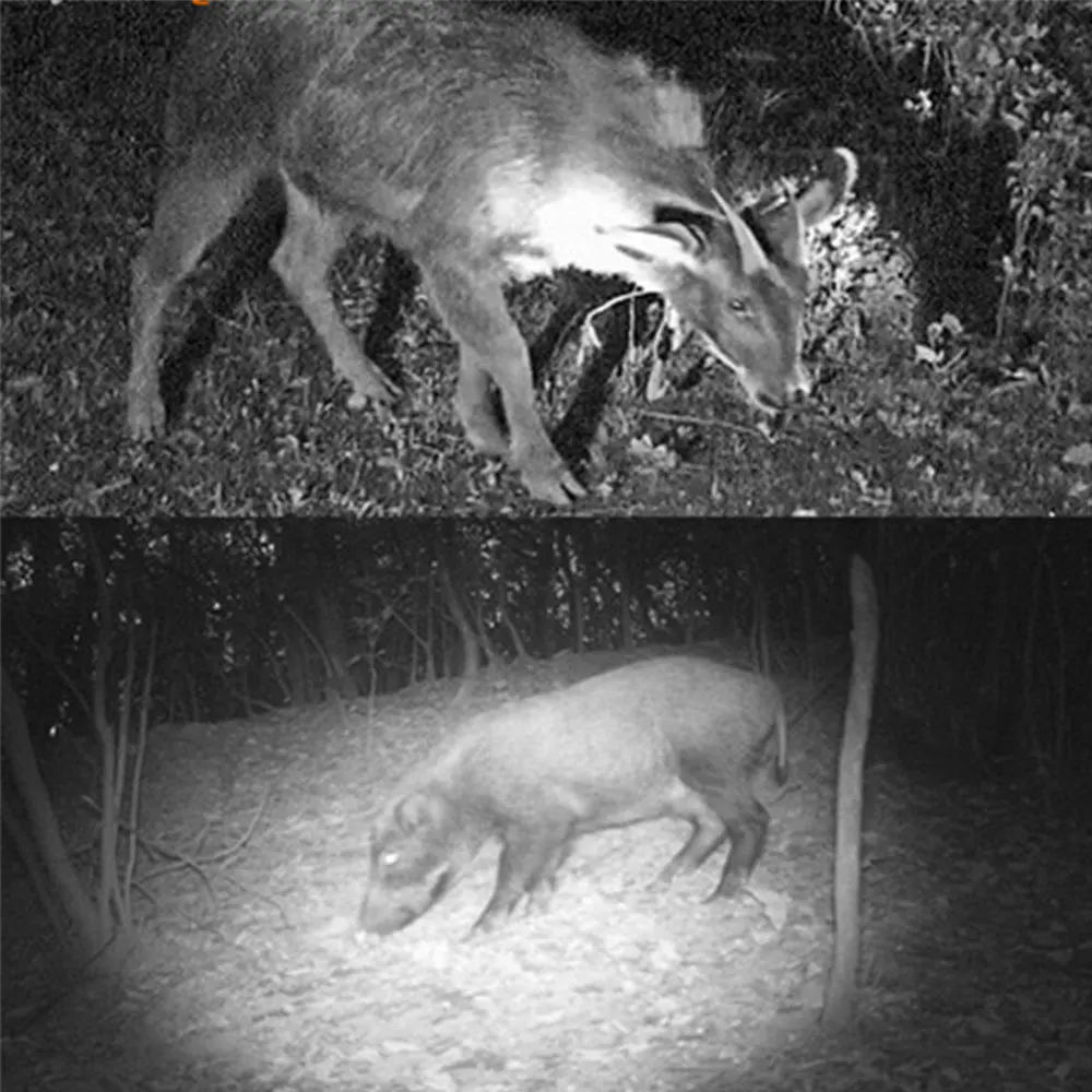 940nm/850nm Infrarot licht ir Taschenlampe Jagd Infrarot beleuchtung zoombare Taschenlampe Infrarot waffe Licht Nachtsicht geräte