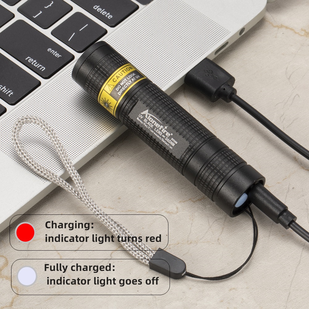 365nm Mini UV Led lampe de poche à lumière noire Usb lampe à ongles Rechargeable marqueur de fuite de taches d'animaux minerai argent Scorpion lumières de détection