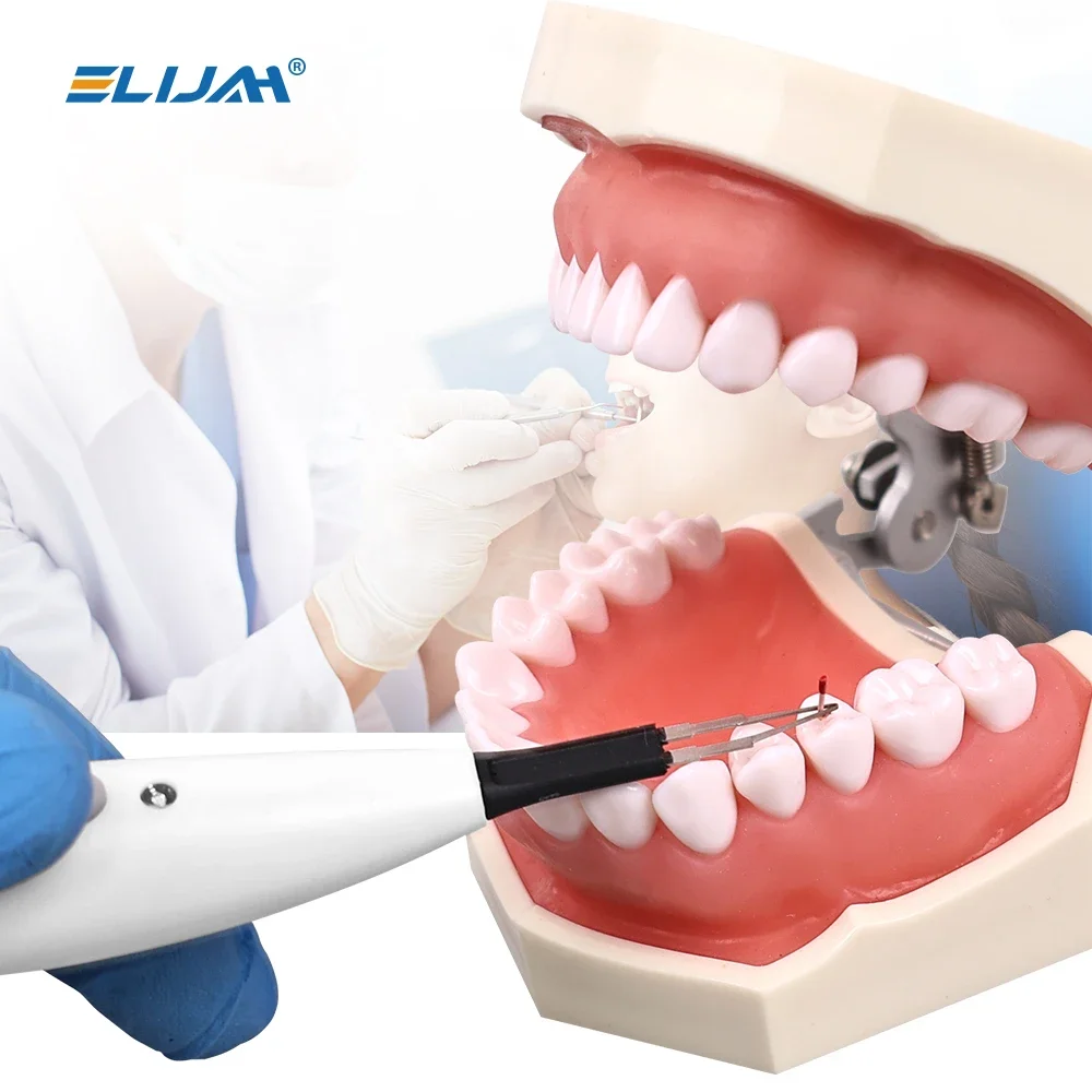 ELIJAH 1 Set Dental Gutta Percha Tip Cutter Opgeloste Breaker Gutta Percha Cutter met 4 Tips Tand Gum Cutter Tandheelkunde gereedschap