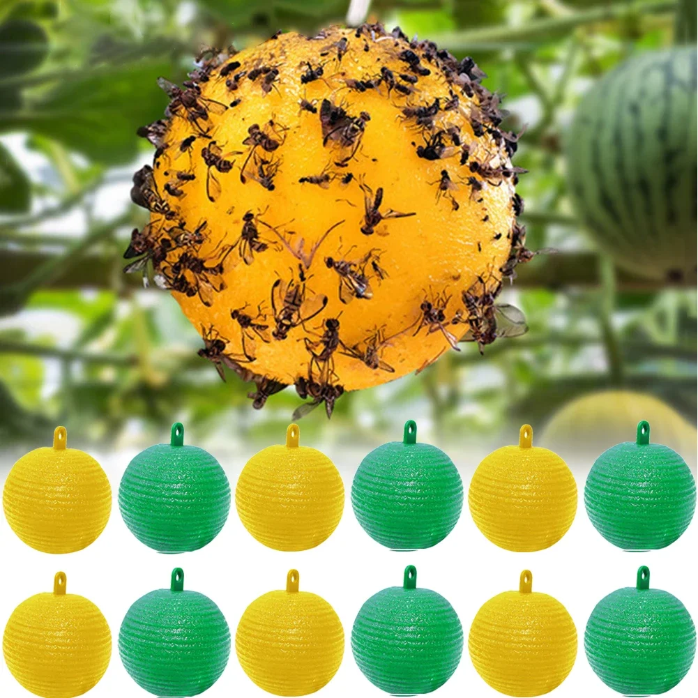 Hanging Fly Trap Glue Ball Insect Fruit Fly BugKiller for Bee Wasp Sticky Fly Catcher Orchard Garden Pest Control Supplies
