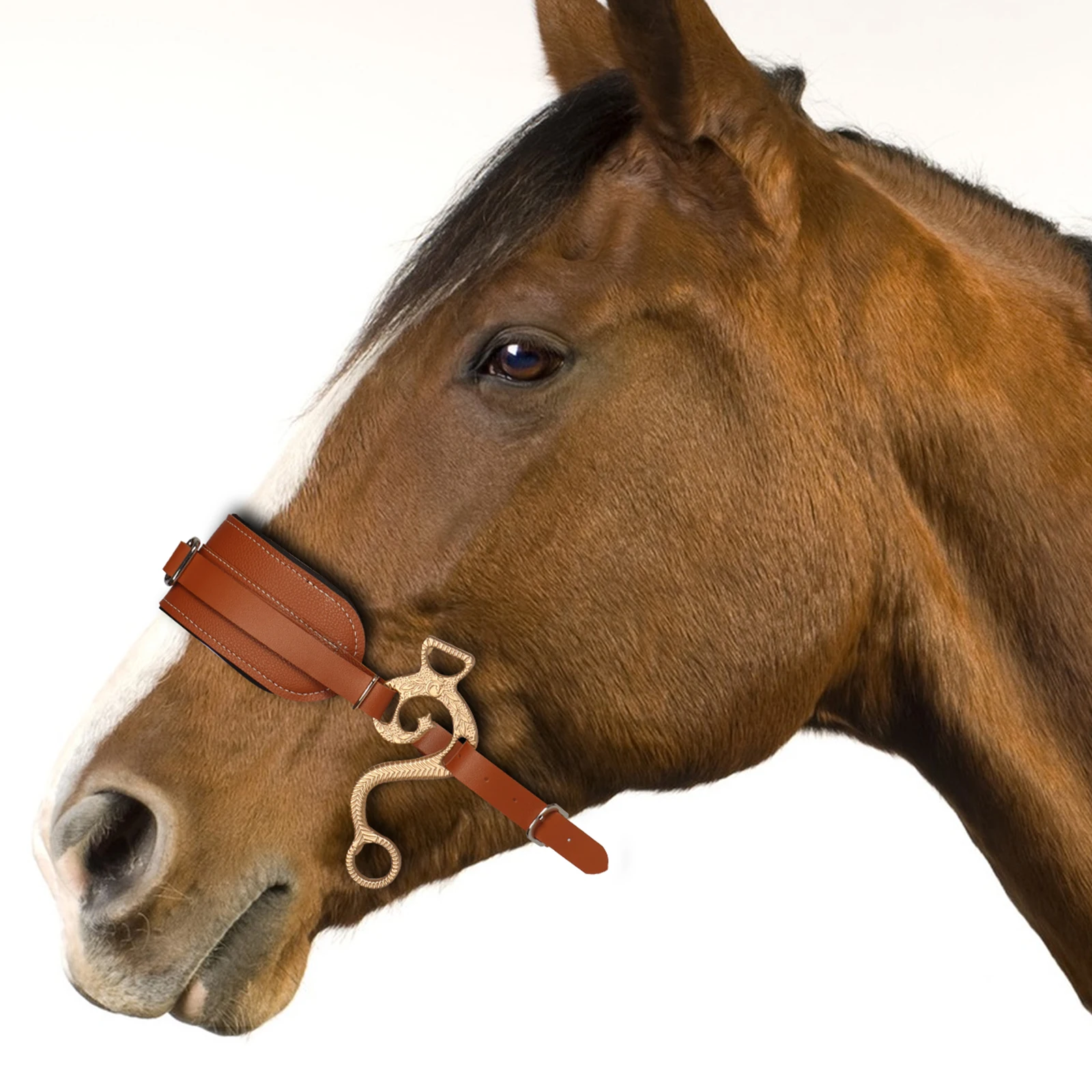 Cavallo Bit briglia Hackamore marrone inglese occidentale naso cordolo catena imbottita attrezzatura per cavalli regolabile