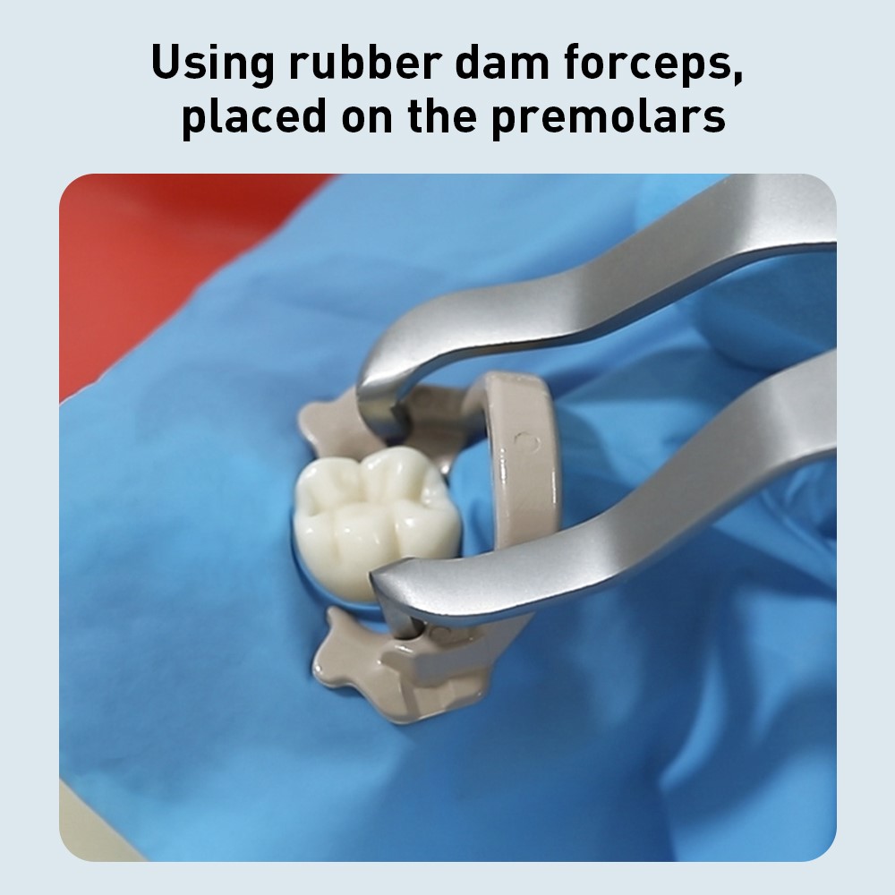 Dental Dam Rubber Clamp Separator Ring Can Autoclavable 134°C 