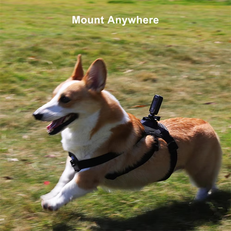 SJCAM C100 Plus Action Camera 4K 30M Impermeabile 2.4G WiFi Action Sport action cam EIS casco da bicicletta motocicli