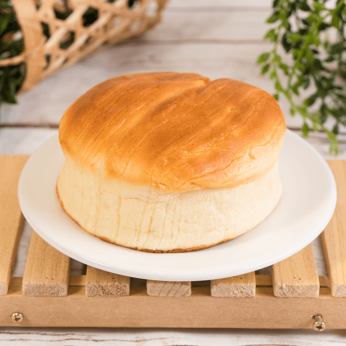 [10 Packs] D-PLUS Hokkaido Cream Natural Yeast Bread - Authentic Japanese Dessert, 2.82oz Each