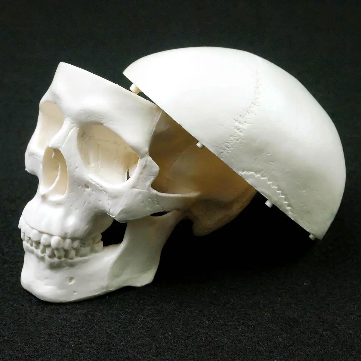PVC MINI Skull มนุษย์กายวิภาคศาสตร์กายวิภาคศาสตร์หัวทางการแพทย์ชุดสะดวก 92x99x71mm