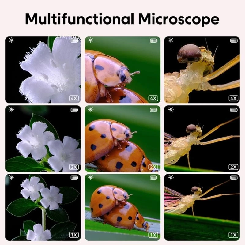 Y3NA Digital Microscope 500x Glass Glass dengan LED Light Magnifier Science Microscope untuk Anak -anak Pendidikan