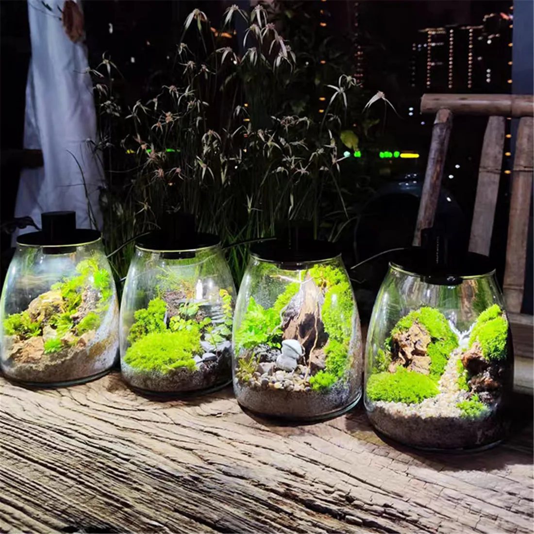 รอบ D10cm D12cm D15cm D20cm LED Moss พืช Breathable นิเวศวิทยาขวดโคมไฟ USB น้ําหญ้า light wanter พืชโคมไฟ