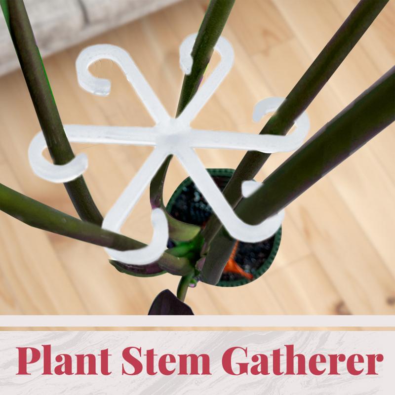 Stem Support Alocasia Monstera Leaf Supports 4Pcs Vine Support Clips For Climbing Plants To Grow Upright And Make Healthier
