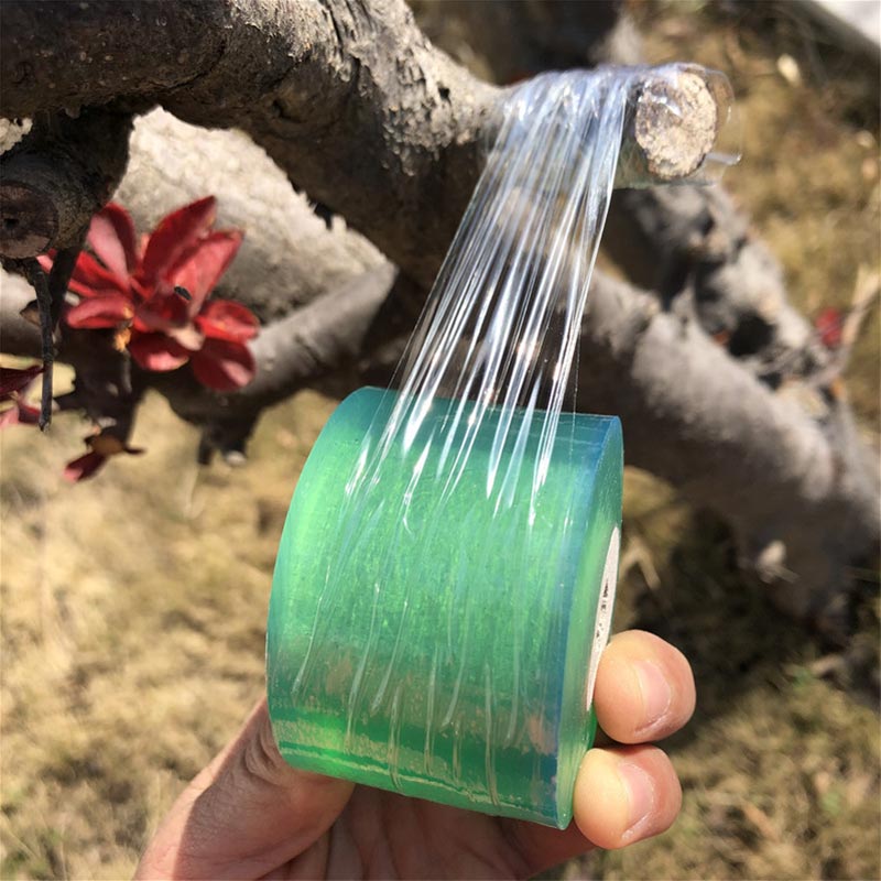 Cinta de injerto biodegradable ecológica, membrana de injerto, cinturón de encuadernación para jardinería, película específica para injerto de plantas, auto Muc