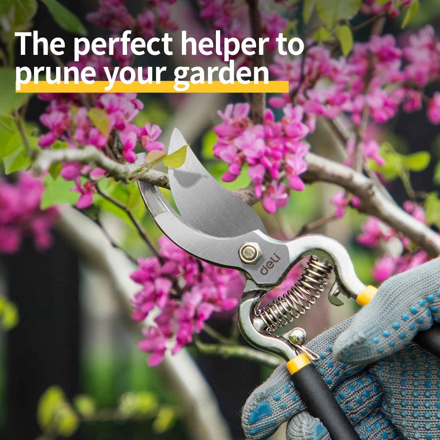DELI 8-Zoll-Gartenschere, SK5-Klinge, Gartenschere für Bonsai, Obstbäume, Blumen, Zweige, Gartenbau-Gartenschere