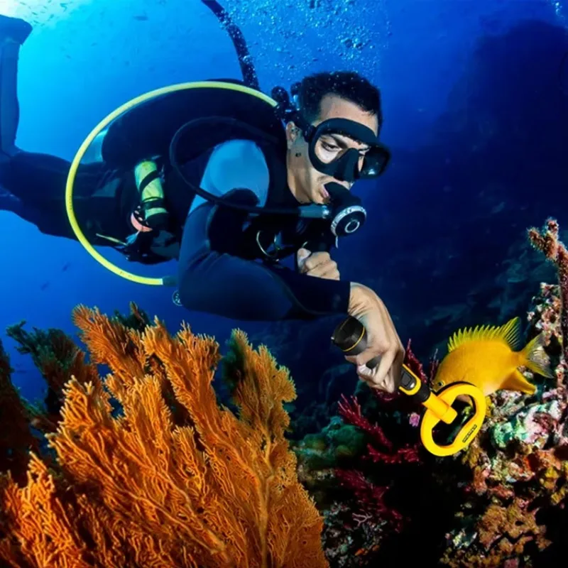 Onderwater Metaal Zoekdetector Multifunctionele 2 In 1 60M Puls Pinpointer Inductie Duikschat Ip68 Waterdicht Handheld