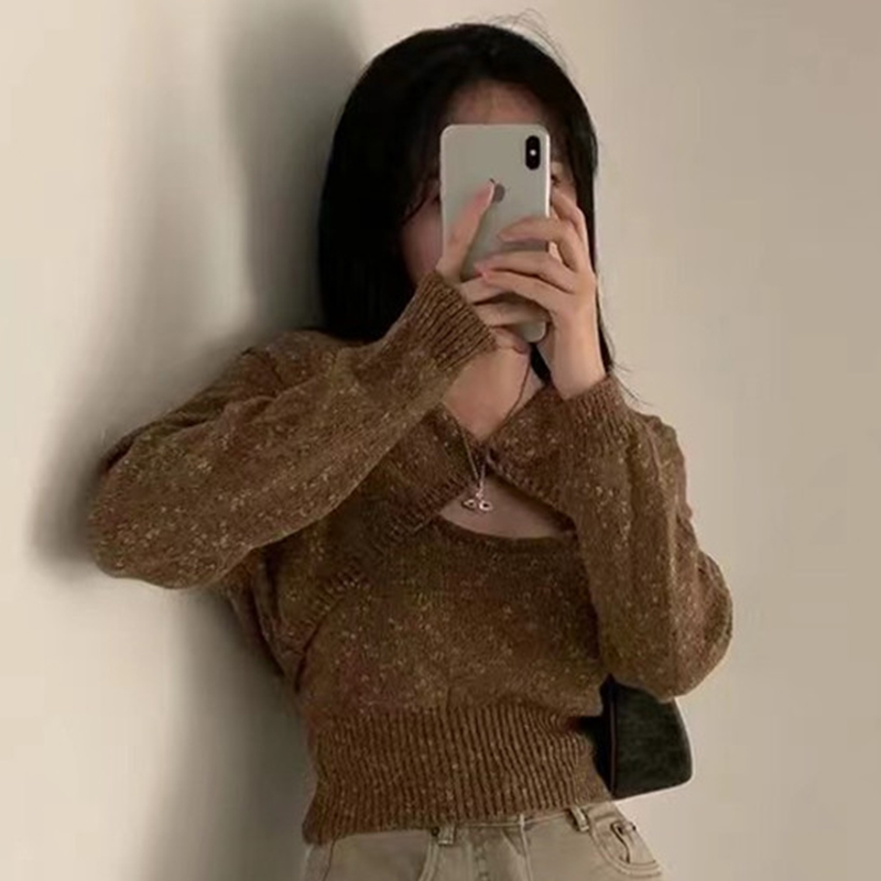 Sexy Chic Autumn Long Sleeve Knitted Crop Top Slimming Vest for Trendy Girls Commute Sle Cotton Material Other Pattern