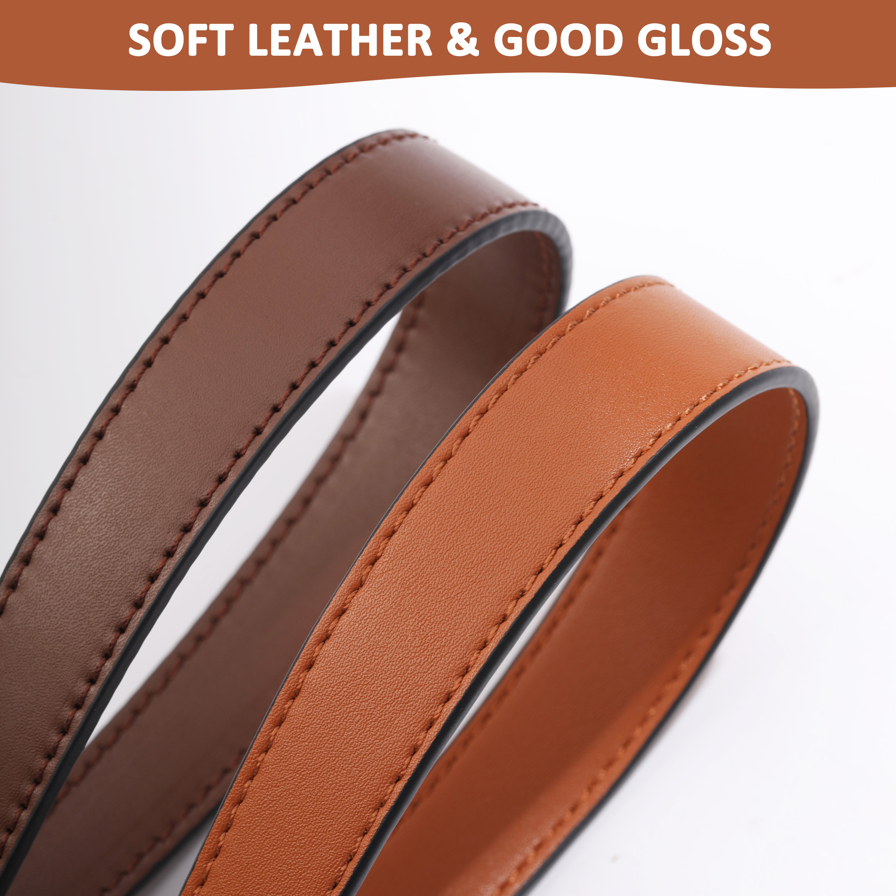 100 % echtes Leder Taschengurt Handtaschengriffe für Handtasche Kurzer Taschengurt Geldbörsengurt Goldene Schnalle Ersatztaschengürtelband