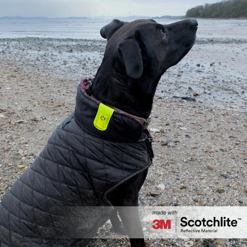 2026 New Magnetic LED Clip, Reflective and practical Clip-On, Made with 3M Scotchlite