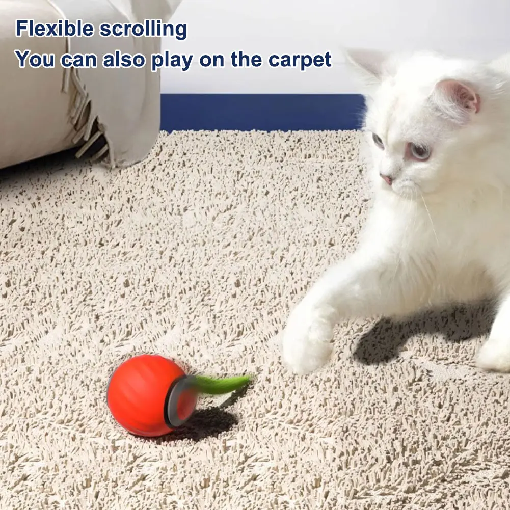 Balle de jouet pour chat en mouvement automatique, jouets intelligents pour chat, réglage à deux vitesses, queue rapide, jouet pour chat avec queue de remplacement