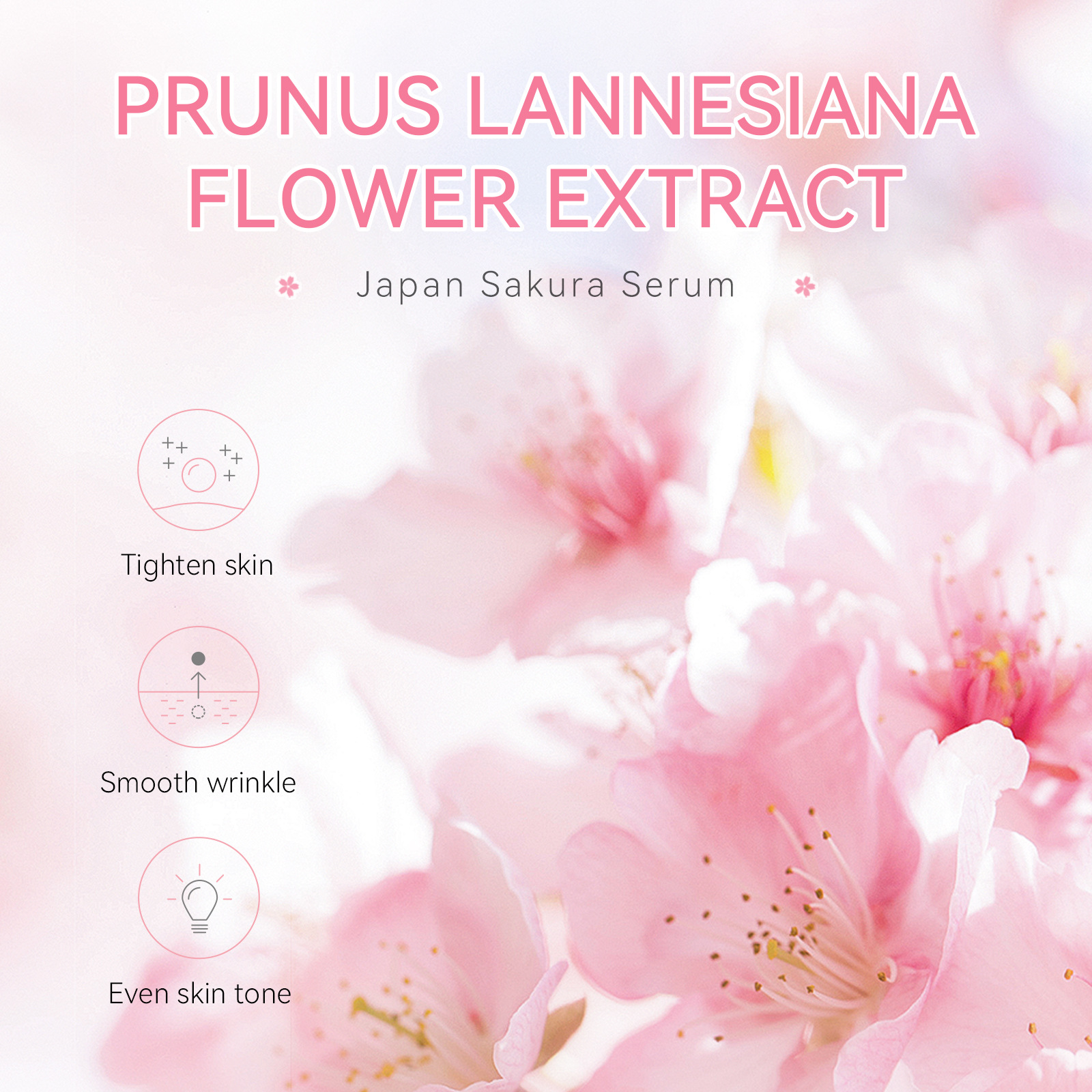 Sakura soro de cuidados faciais, rugas suaves, lifting facial, hidratante, clareamento, produtos coreanos de cuidados com a pele, 1.5ml * 3