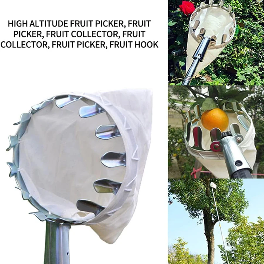 Strumenti per la raccolta di frutta Raccoglitore Raccoglitore di alberi Raccoglitore di frutta Bacche Attrezzo da giardinaggio Forniture per lavori in giardino Utensili Gadget agricoli