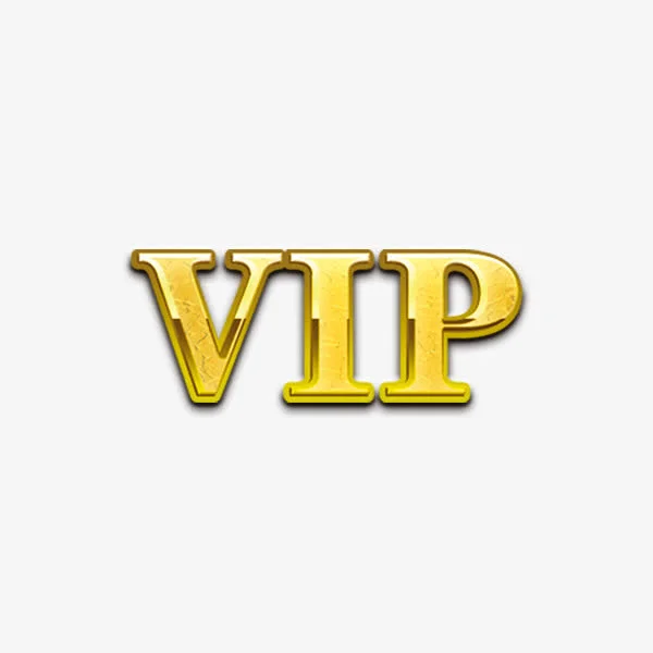 VIP Customer Pay LINK