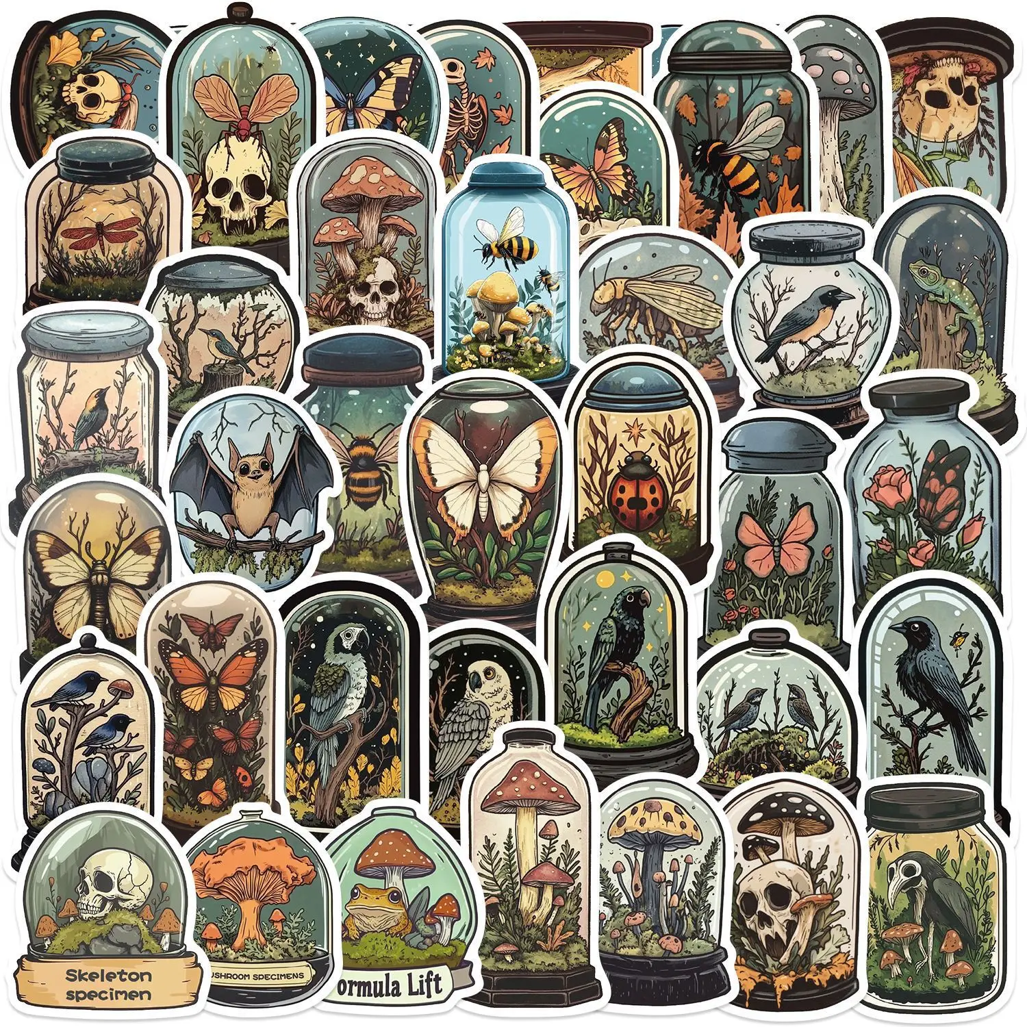 50 garrafas misteriosas dos desenhos animados dos pces, adesivos biológicos do graffiti guitarra notebook bagagem diy garrafa de água decoração adesivos à prova dwaterproof água