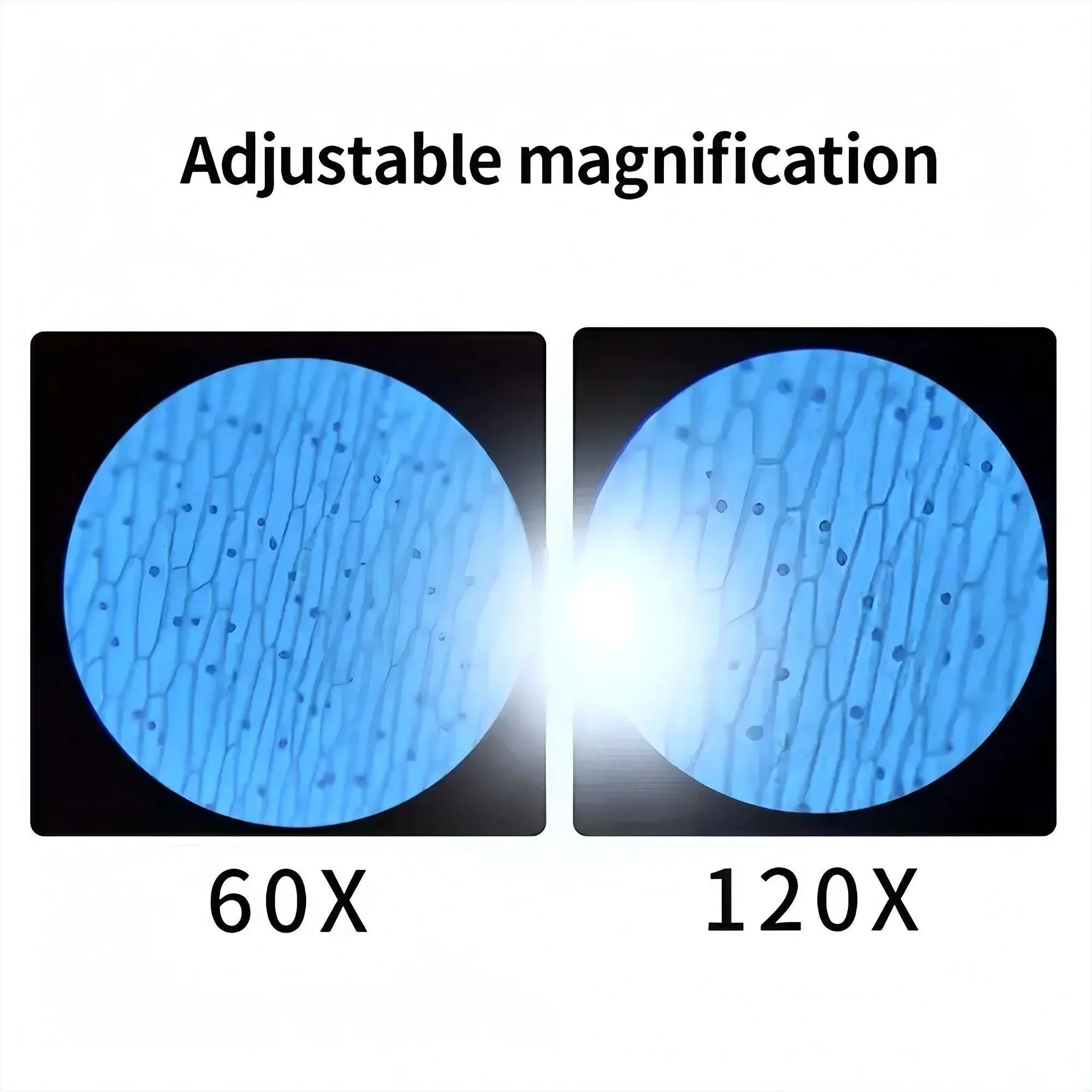 Kit de microscopio de mano para niños, luz LED de laboratorio, 60X, 120X, hogar, escuela, biología, ciencia, juguetes educativos, Brinquedo, regalo STEM