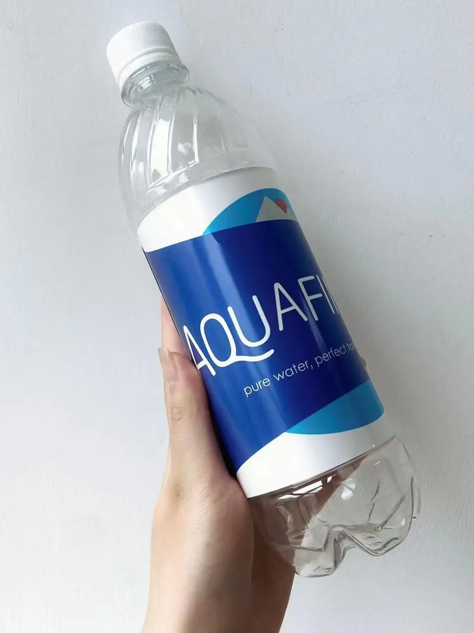 Aquafina Water Bottle Diversion Safe kann einen versteckten Sicherheitsbehälter mit einem geruchsdichten Beutel in Lebensmittelqualität aufgeben