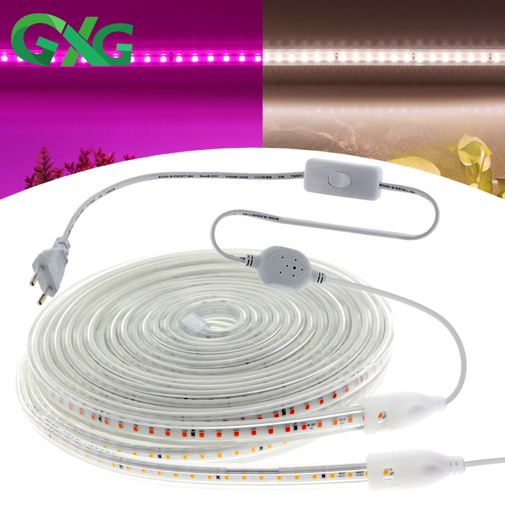Phát Triển Dải Sáng Suốt 220V Phyto Đèn LED Chống Thấm Nước Dải Vật Có Ánh Sáng Cho Hoa Cây Con Phát Triển Lều Thủy Canh 1-20M