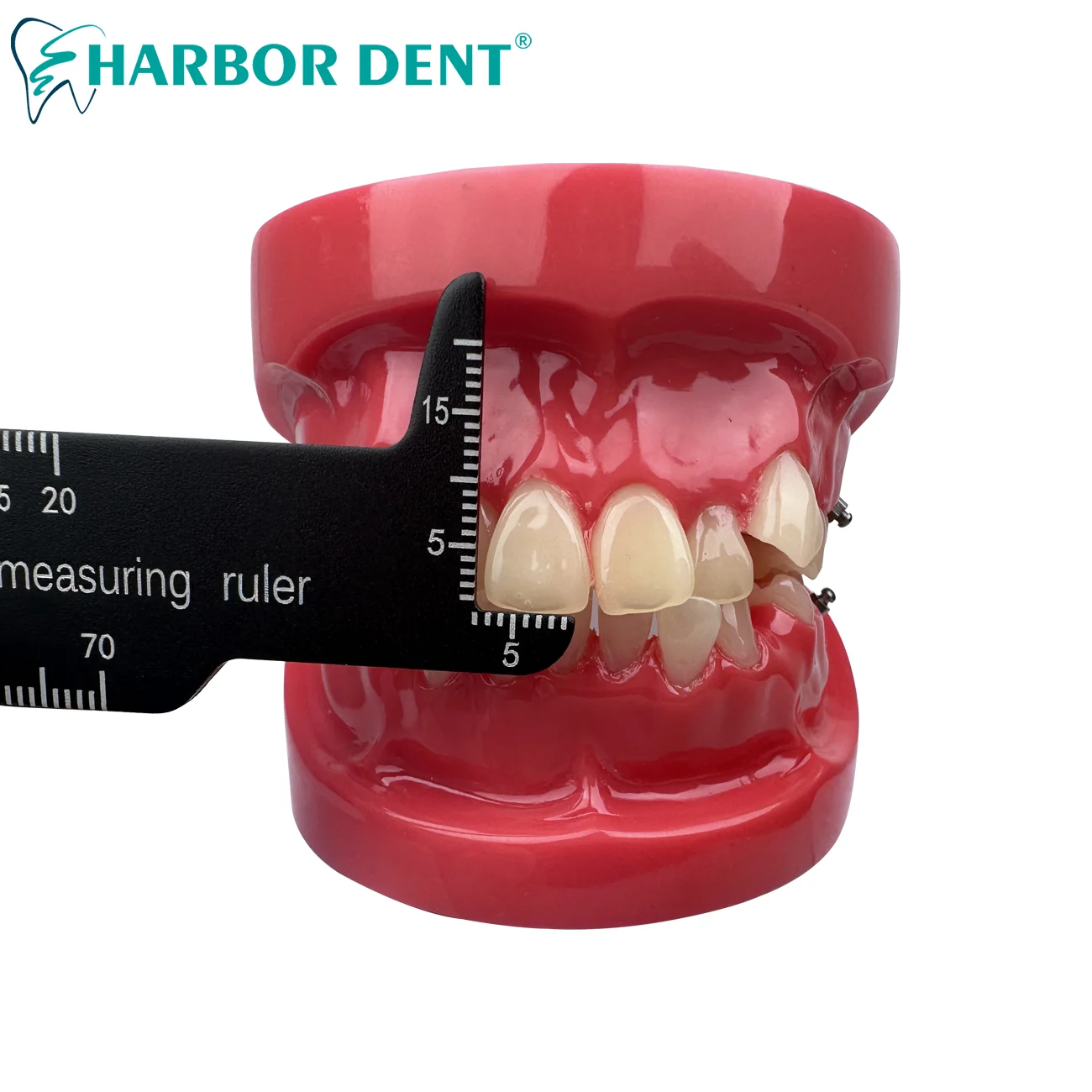 1Pc Dental Precision Measuring Ruler Tooth Gap Photography Medical Tool Span Measure Scale Endodontic Instruments