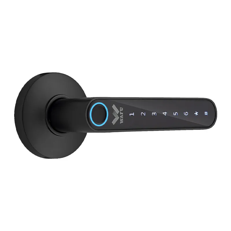 Vários maneiras de desbloqueio com senha fantasma sem impressão digital Tuya Smart Management APP HandleDoor Lock para Home Office Hotel