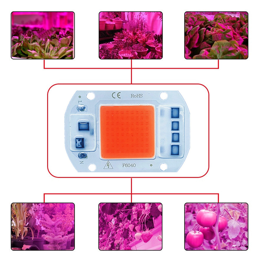 成長のための植物用のフルスペクトルLEDフィトライト,成長のための植物ライト,220v,110v,50w,30w,20w