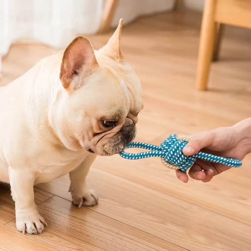 Brinquedos para cães de estimação, brinquedos para cães grandes e pequenos, corda de algodão interativa, mini brinquedos para cães, acessórios, escova de dentes, brinquedo para mastigar cachorros