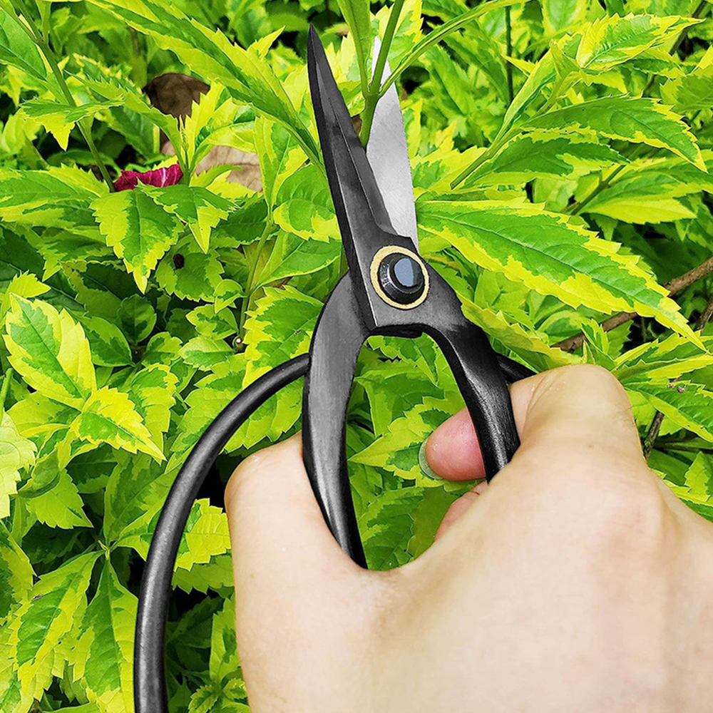 Forbici professionali per bonsai Cesoie tradizionali per potatrice per bonsai a farfalla per rifilatura precisa Potatura per mortilatura di piante di fiori