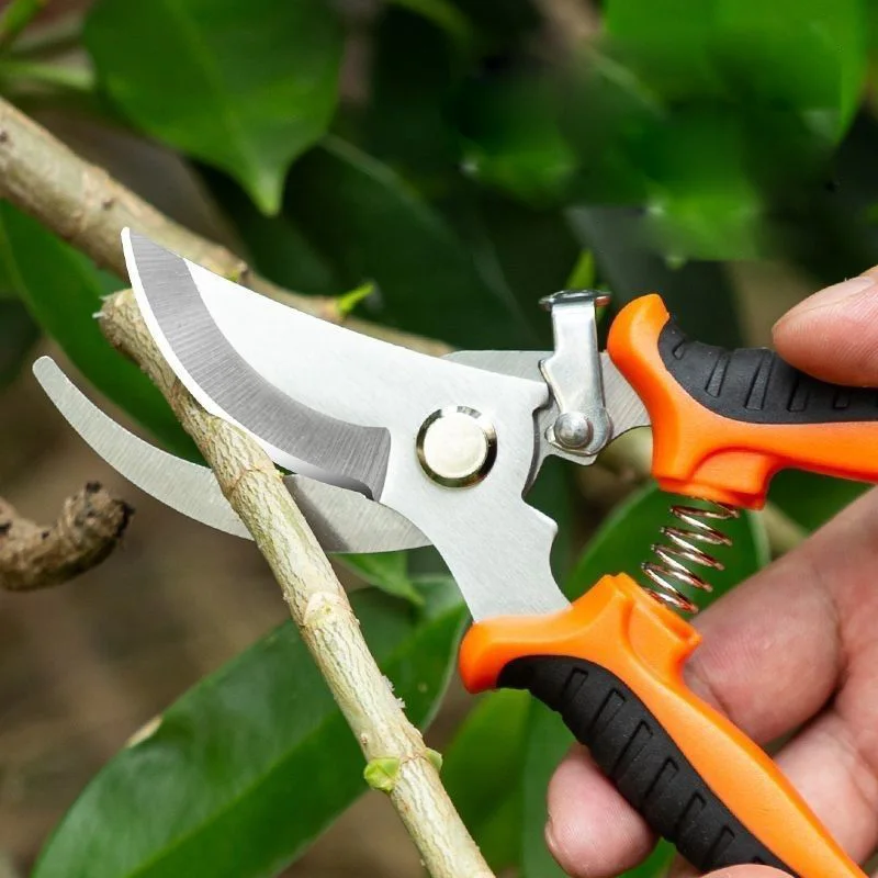 Tijeras de jardinería con mango ergonómico con cuchillas afiladas, tijeras de podar duraderas para cosechar flores y frutas, herramienta para ahorrar trabajo