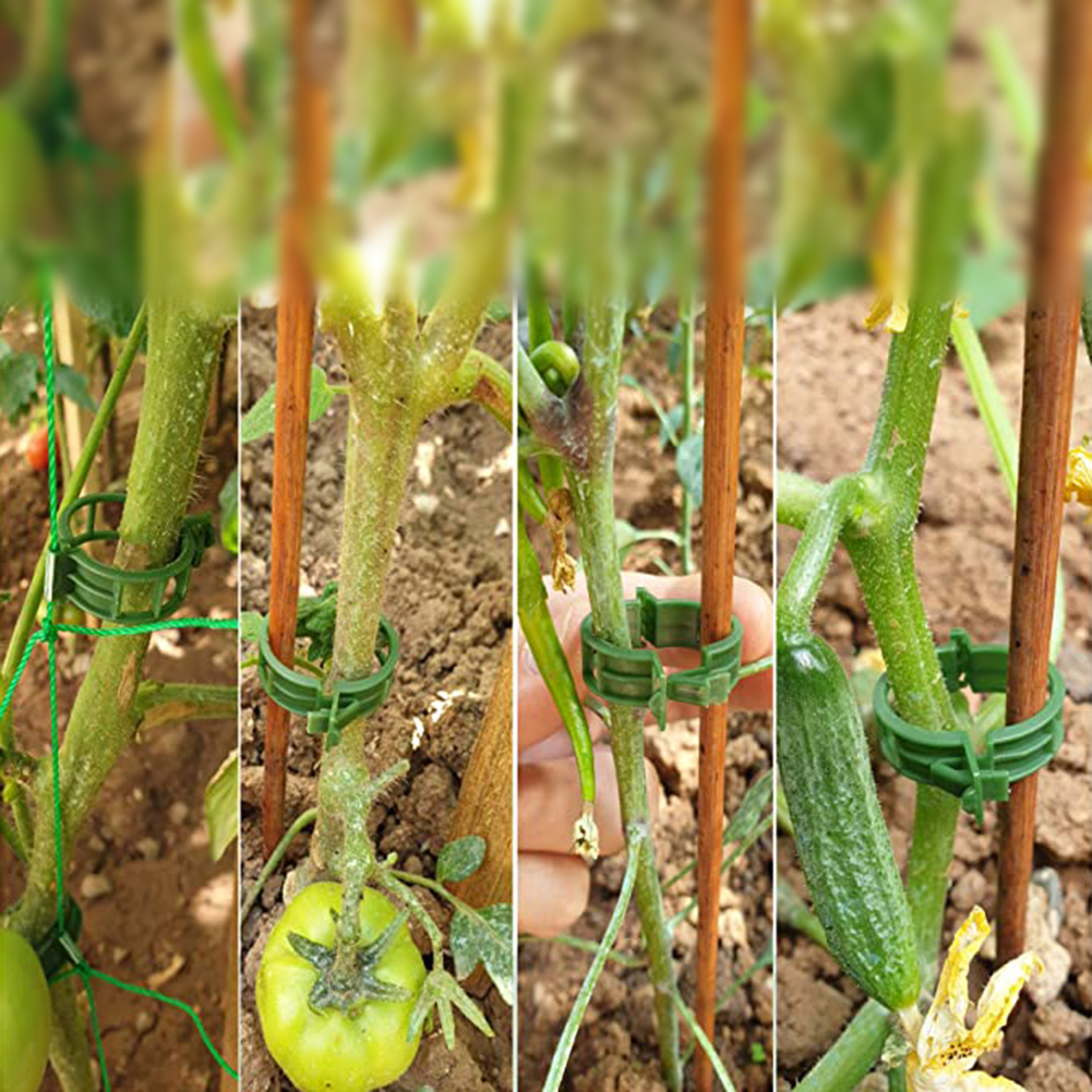100 PCS พืชสนับสนุนคลิปพลาสติก Trellis Stake คลิปสวน Veggie มะเขือเทศเรือนกระจกสําหรับสวนเครื่องมืออุปกรณ์เสริม