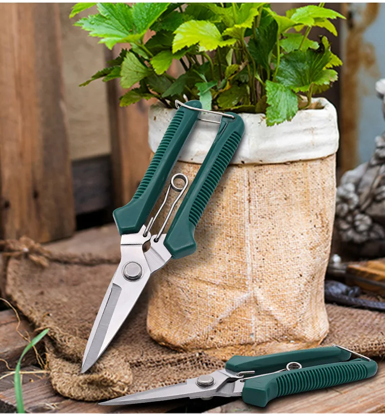 Tijeras de podar de cabeza recta, mango antideslizante, herramientas manuales de acero inoxidable, tijeras de jardín para bonsái domésticos, tijeras de podar