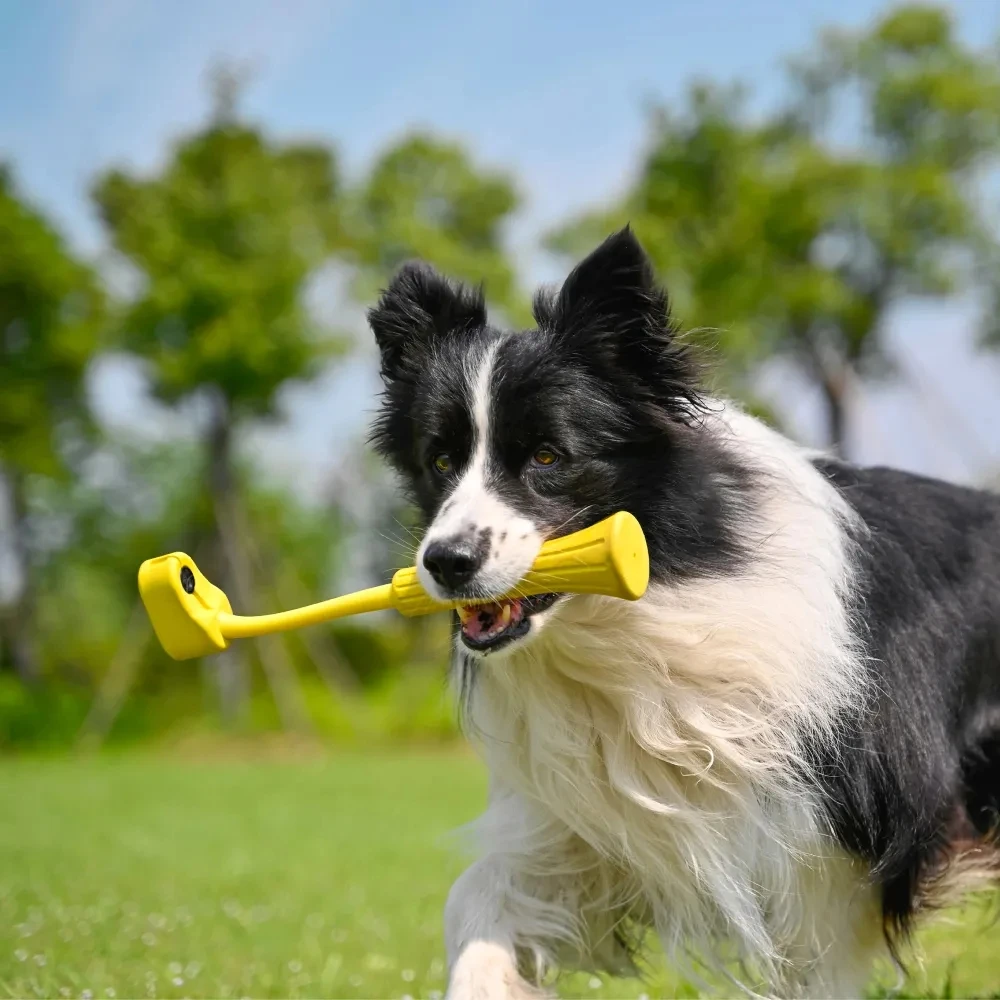 Fetch Stick For Pet and Dog Original Accessories For Insta 360 GO3 \ GO 3S